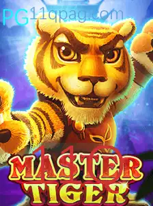 Domine o Desafio com MasterTiger: O Jogo que Estimula a Estratégia